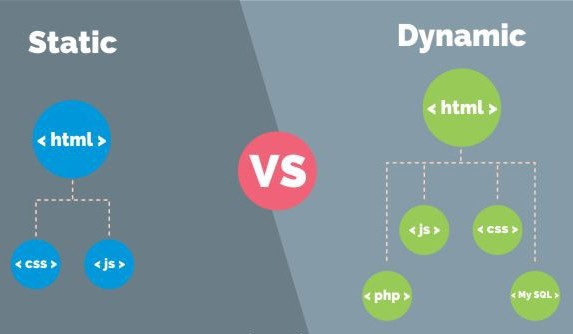 contoh website statis dan dinamis