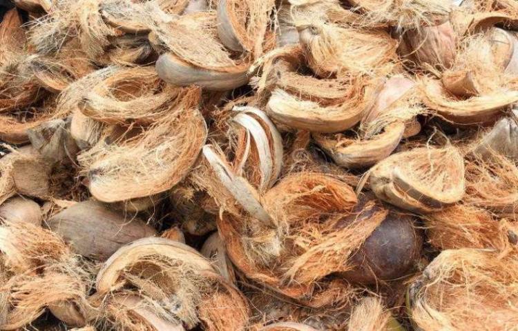 Cara Mengolah Sabut Kelapa Jadi Cocofiber