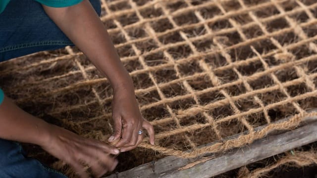 inovasi bisnis hijau dari limbah kelapa