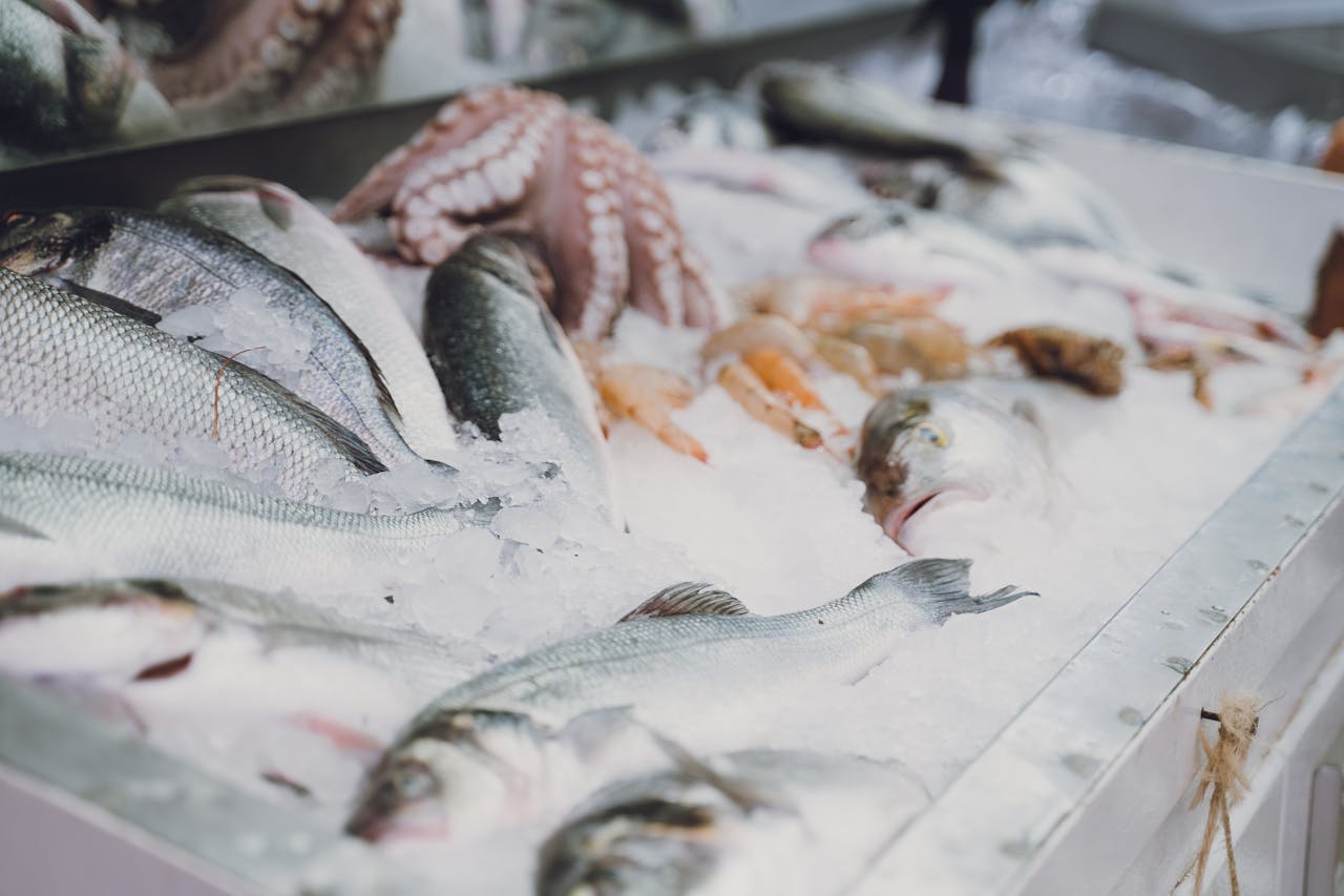 mesin vacuum sealer untuk frozen food