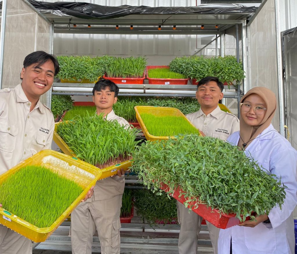 pakan hijau alternatif ekonomis