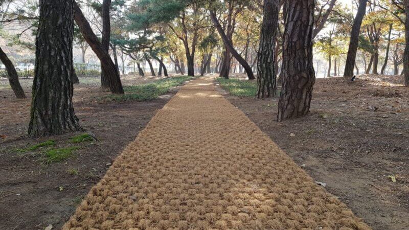 Cocomesh untuk Memperkuat Vegetasi Lereng Sungai