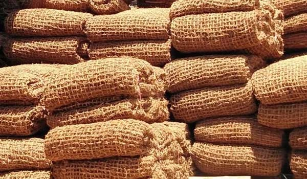 cocomesh reklamasi lahan