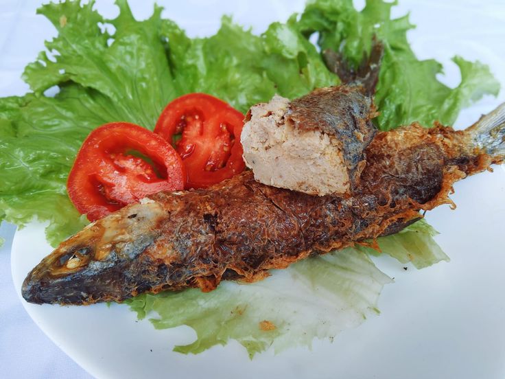 Peralatan usaha olahan ikan