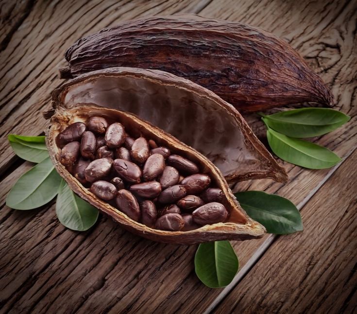 cara mengolah kakao jadi coklat